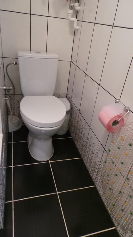 ברסט U Viktora Guest House מראה חיצוני תמונה
