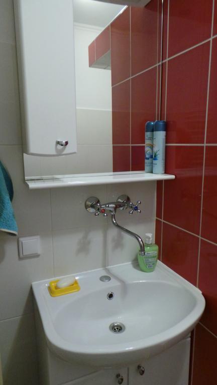 ברסט U Viktora Guest House מראה חיצוני תמונה