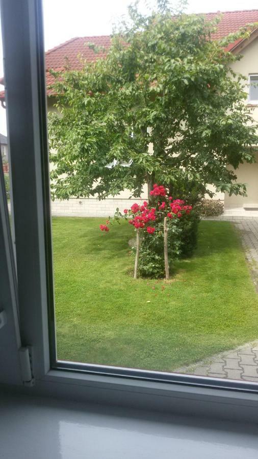 ברסט U Viktora Guest House מראה חיצוני תמונה